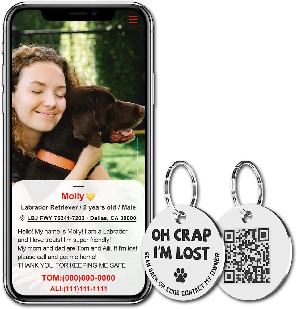 Stainless Steel QR Code Pet ID 