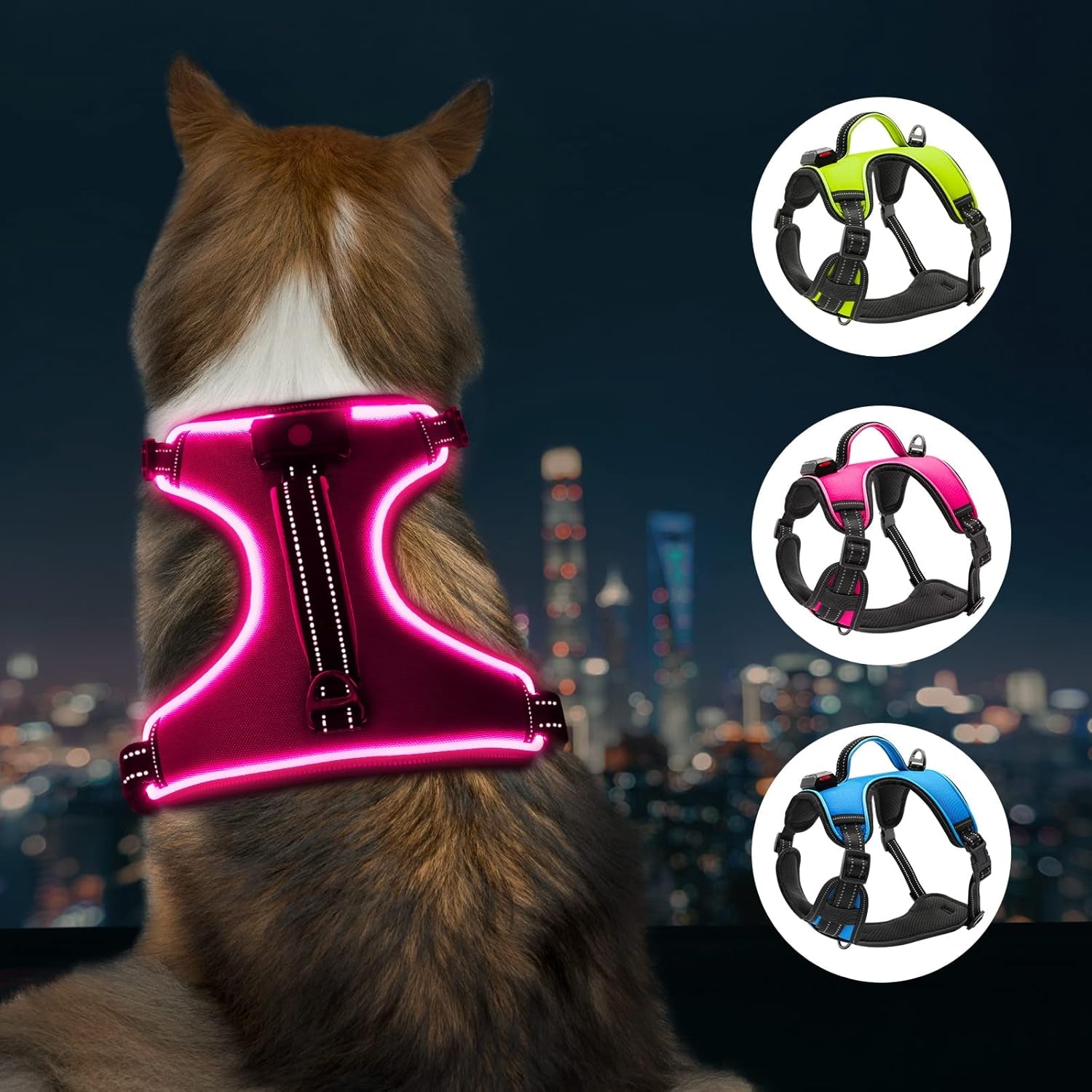 LED Dog Harness