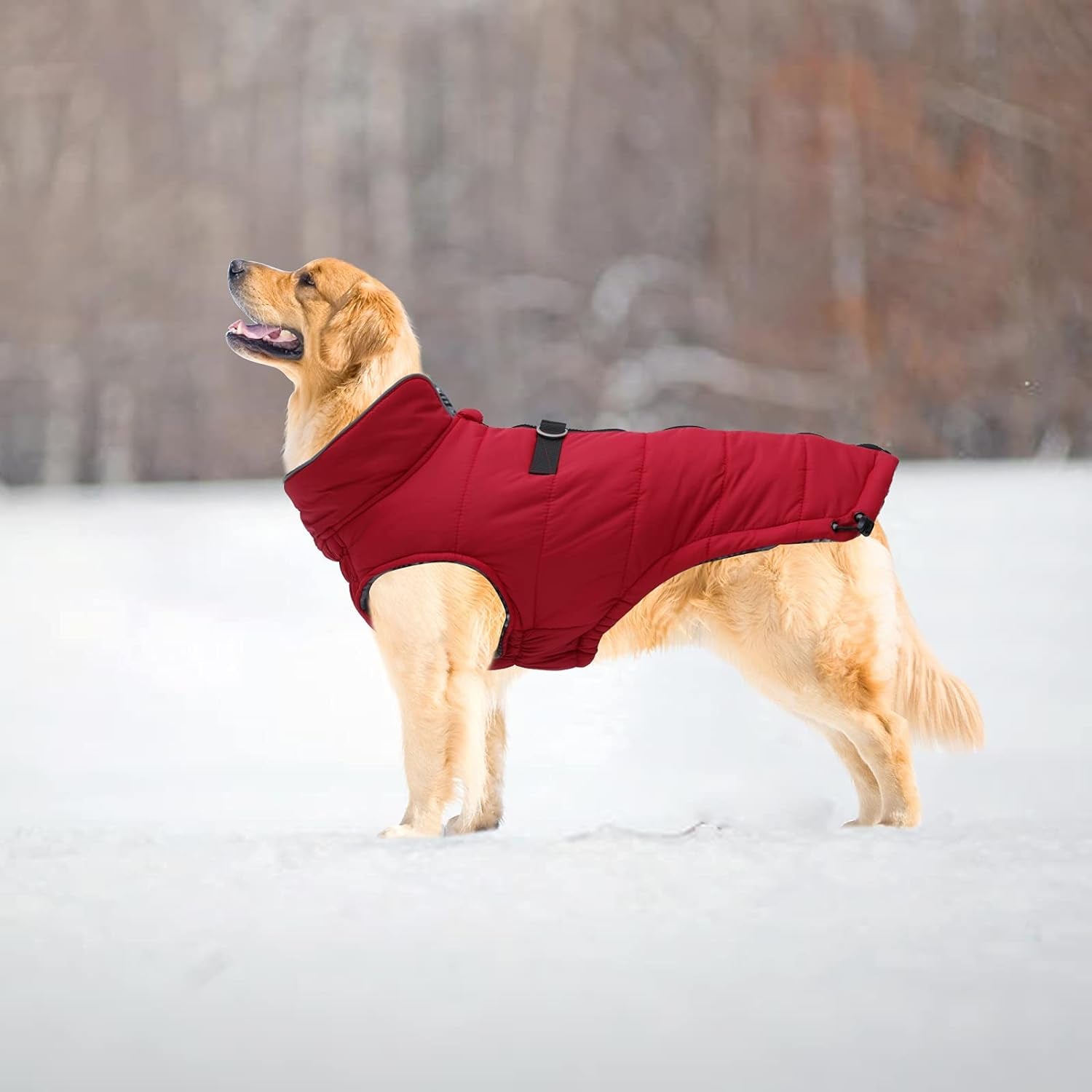 Dog Winter Warm Coat