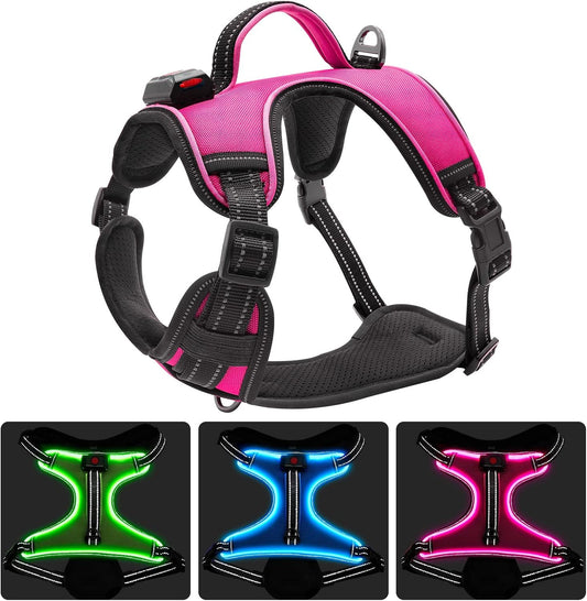 LED Dog Harness