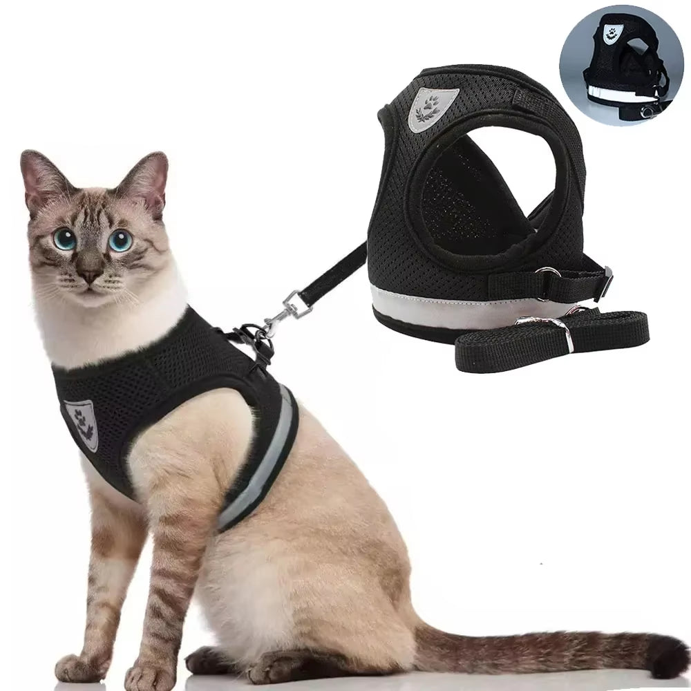 Cat Harness 