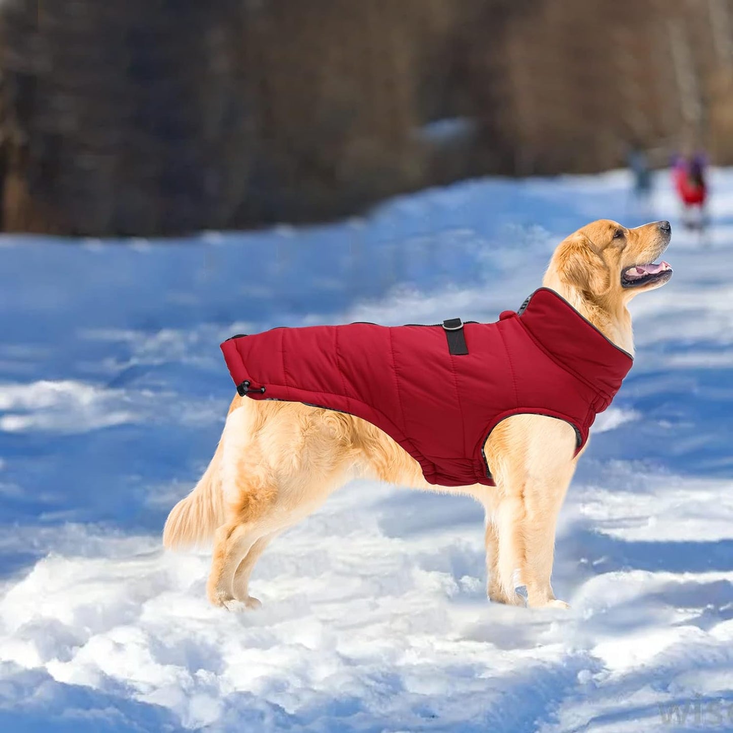 Dog Winter Warm Coat